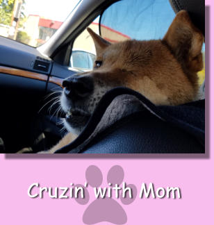 Cruzin’ with Mom